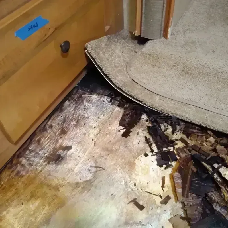 Wood Floor Water Damage in Dixmoor, IL